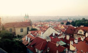 střechy